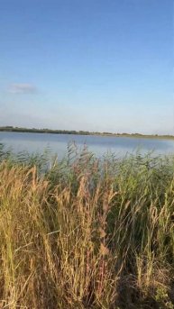 Рисовые чеки Адыгея 14 августа 2025 г.