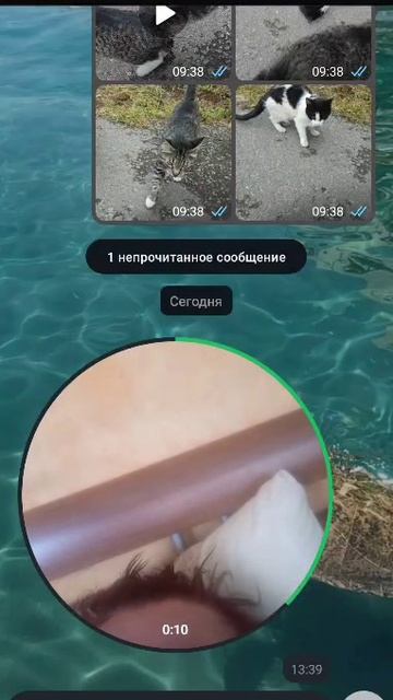 Маркова извиняется