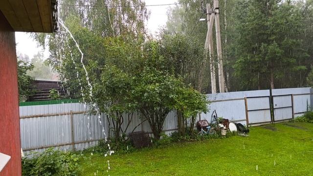 Каждый день дождь.
Московская область.