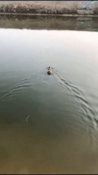 VID_20250814_013618_065.mp4