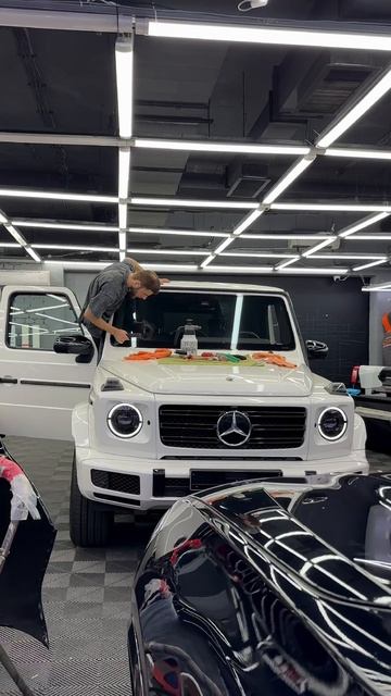 Бронь лобаша