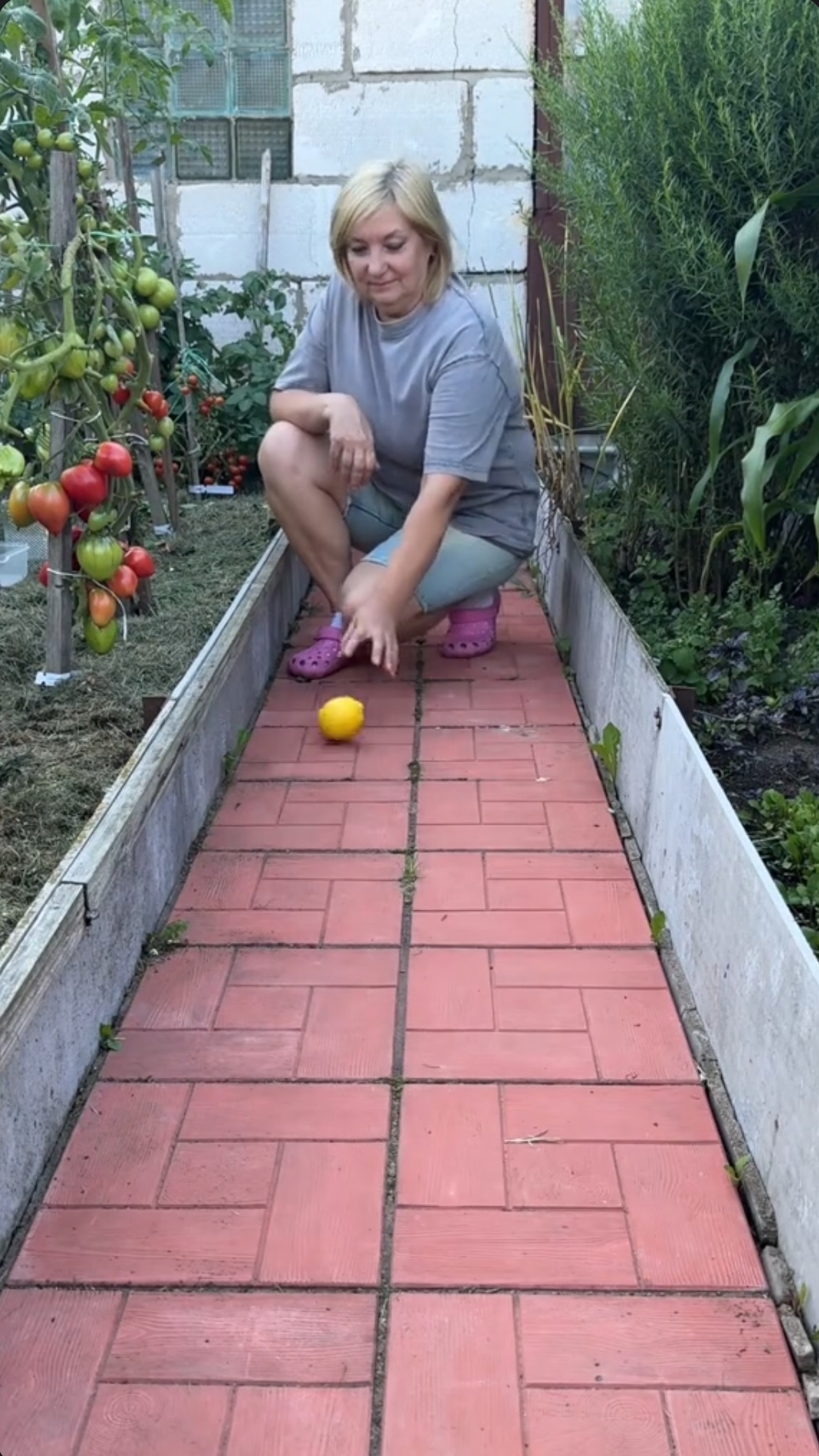 отличное средство от комаров🔥🔥👍