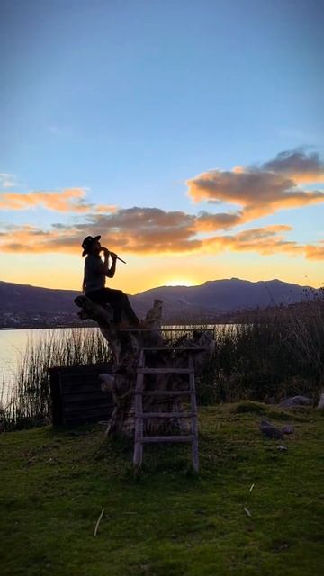 VID_20250814_034615_697.mp4