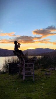 VID_20250814_034615_697.mp4