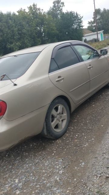 VID20250808130706.mp4