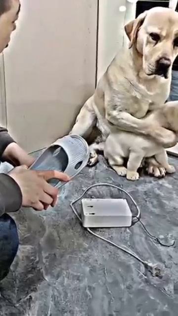 Мама всегда защитит 😍🥰😘❤️🧡💛💚💙💜🖤