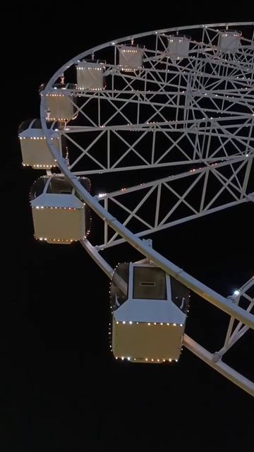 Какой твой выбор дня?