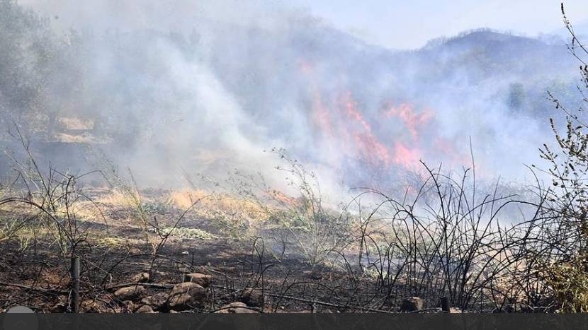 Почти 200 человек эвакуированы из провинции Мерсин в Турции из-за лесных пожаров