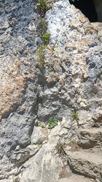 Путь в келью Симона Кананита