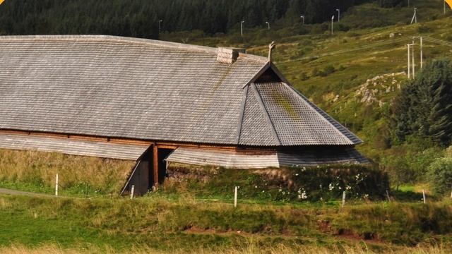 Own it 2 Language_in_Action_2_3 Past simple Vikings