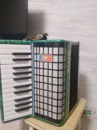 играю на аккардеоне и учусь петь