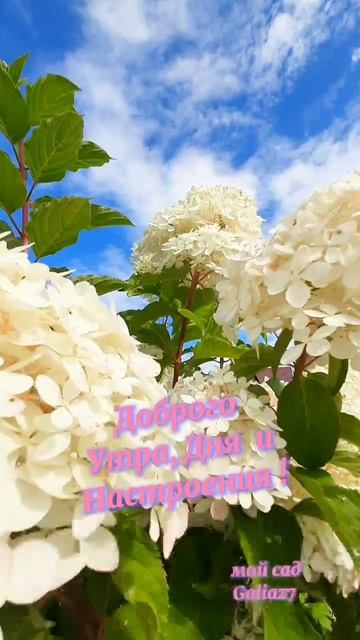 Доброго утра, дня и настроения!