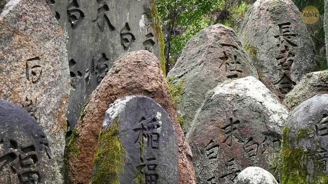 Самый старый когда-либо обнаруженный камень с рунами поможет переосмыслить древнюю историю
