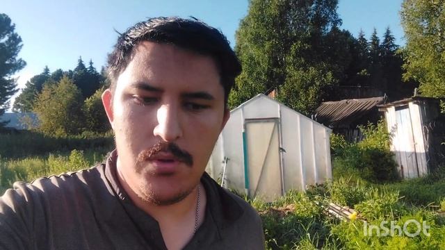 С Добрым Утром