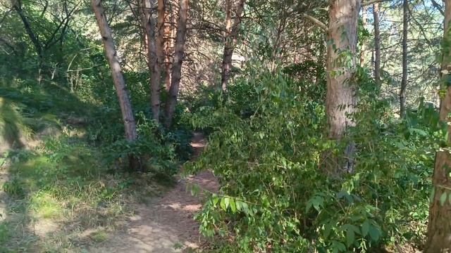 Запасаемся летним солнышком #Кисловодск_город_солнца🌞