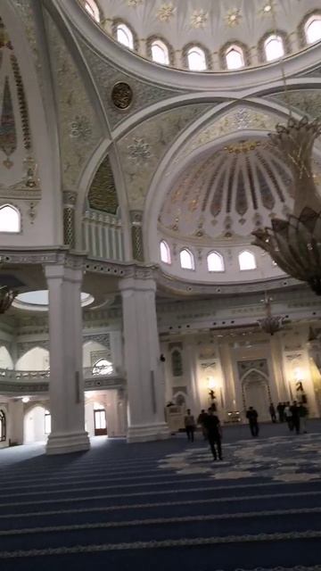 VID_20250813_150302_371.mp4