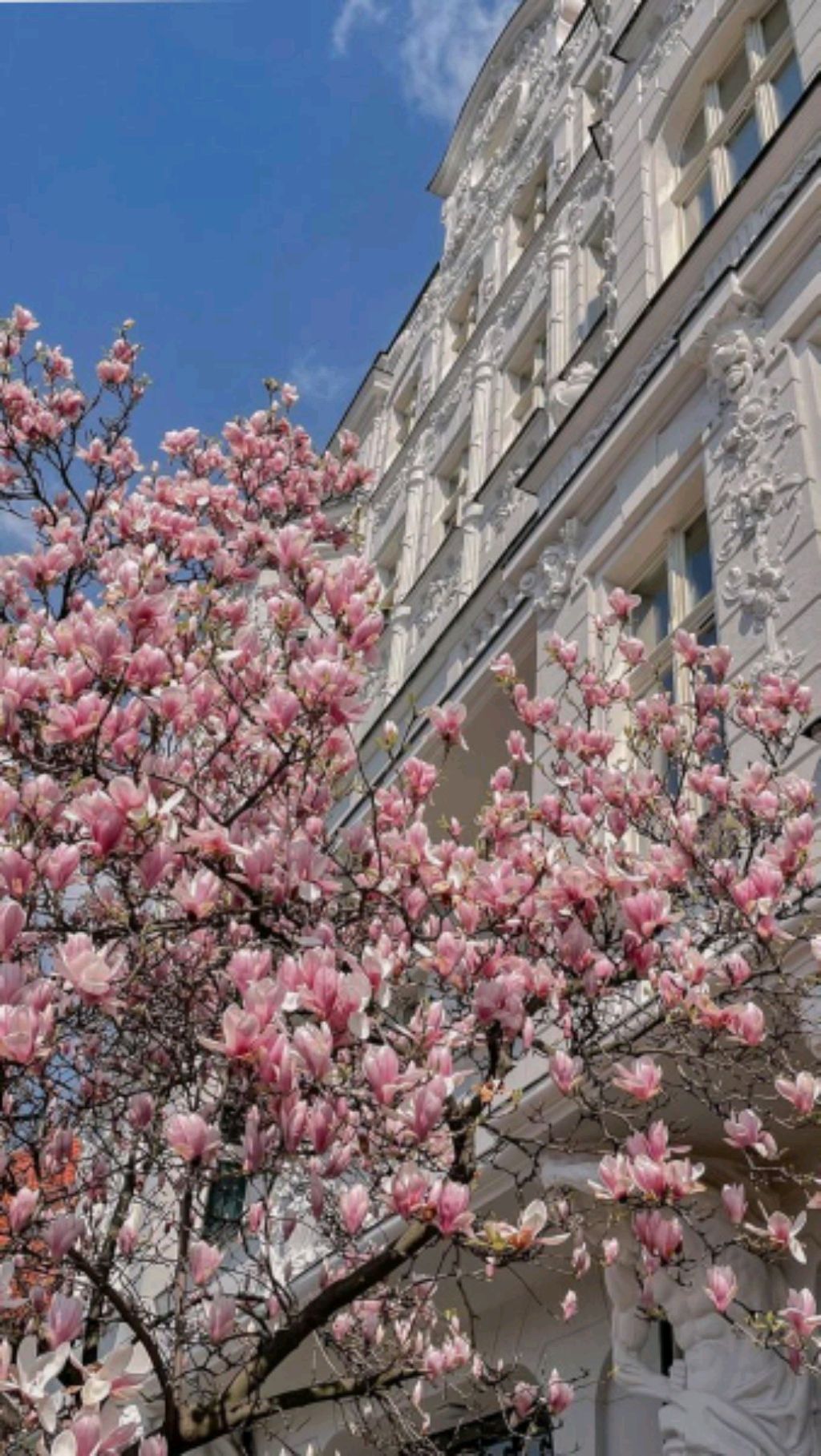 приветик 🎀❤️