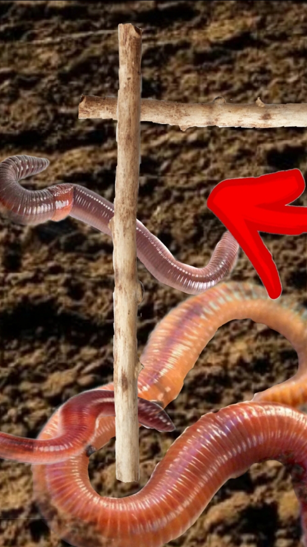 Нашел супер лайфхак для рыбалки