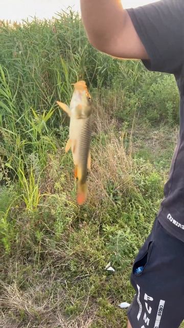 Рыбалка лучшее время провождения 14 августа 2025 г.