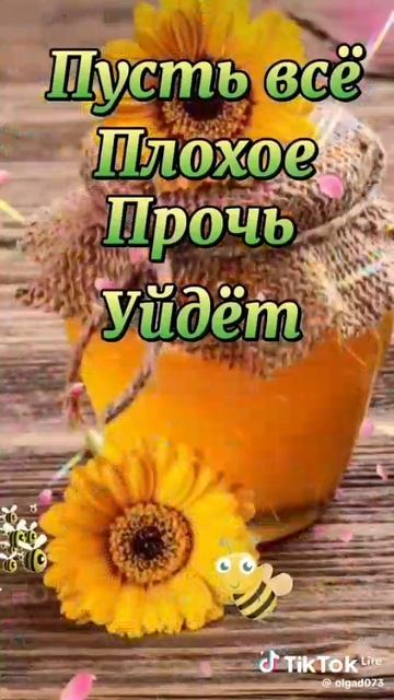 14 августа 2025 года. С Праздником ДРУЗЬЯ.