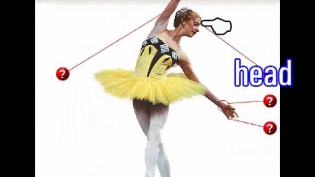 51 части тела