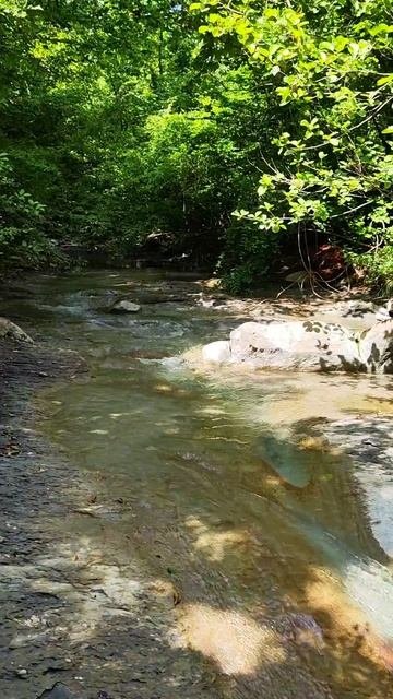 поход по реке #геленджик #природа #краснодарскийкрай