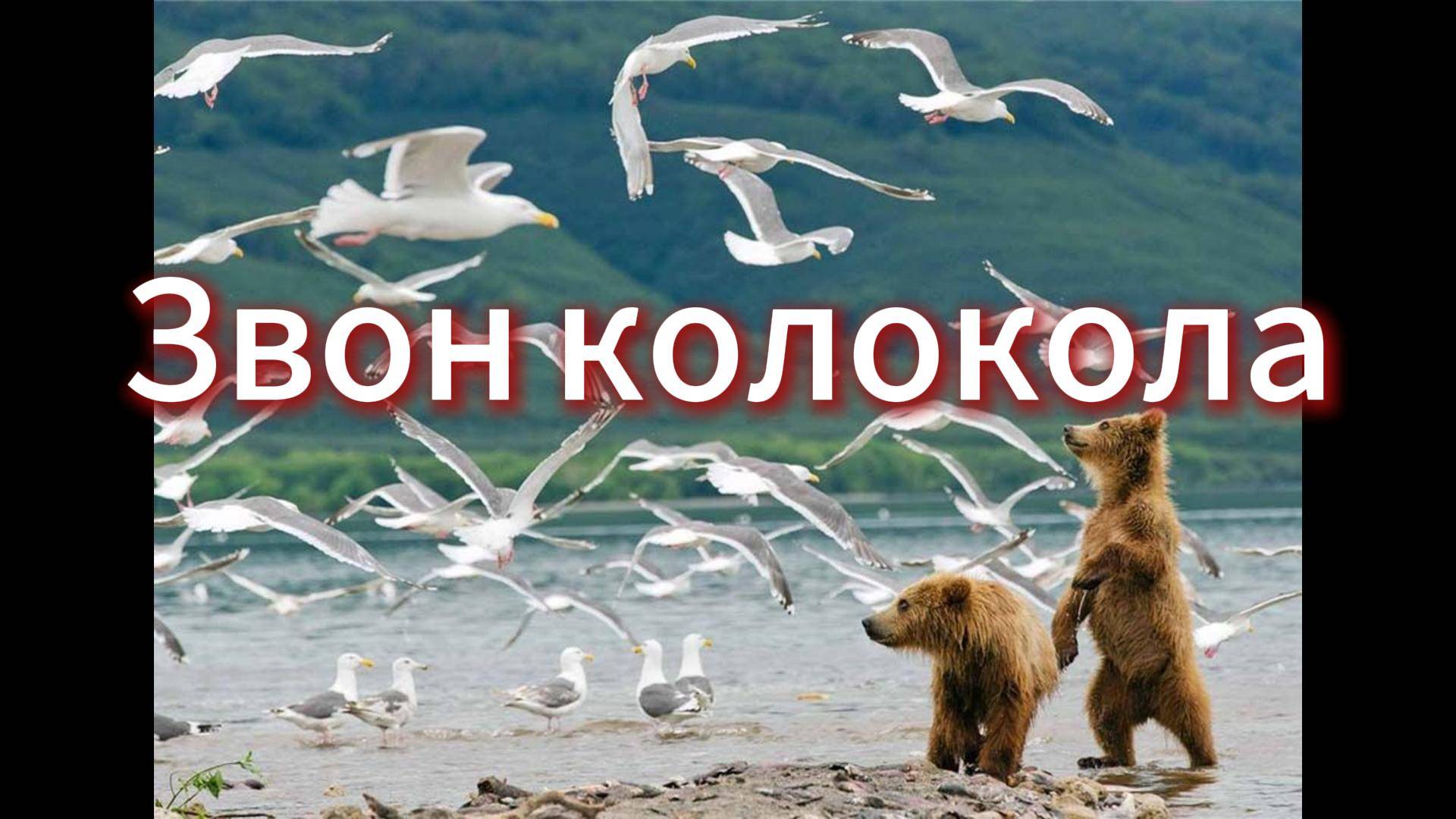 Звон колокола!