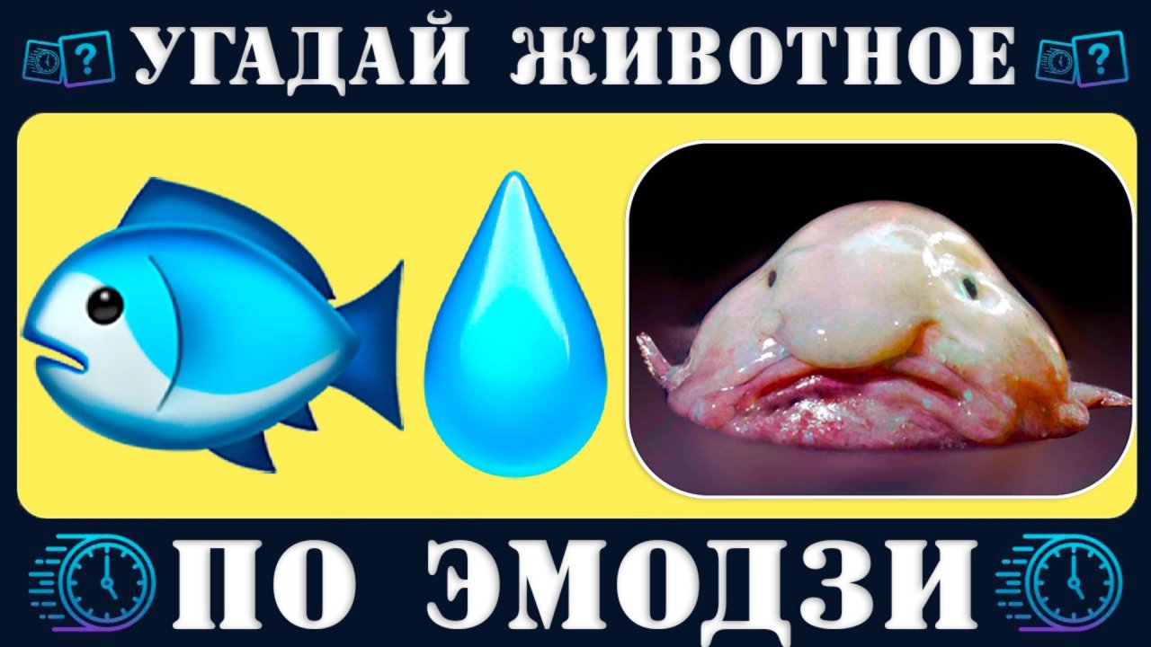 Угадай морское животное по эмодзи за 10 секунд. Новый quiz от Время викторины