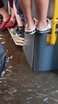 Заплывайте, заплывайте, не стесняйтесь!