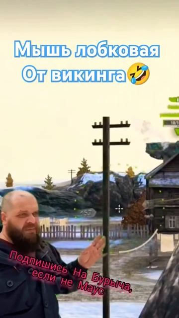 Викинг хлопнул лобковую мышь