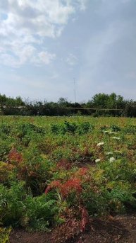 Разговор по душам ☀️