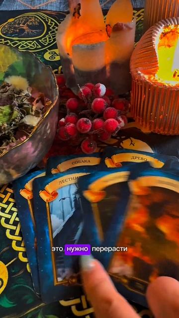 Что ждёт? Общий расклад