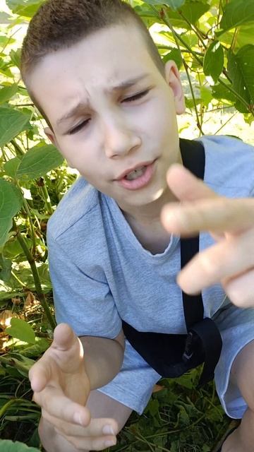 важноя новасть