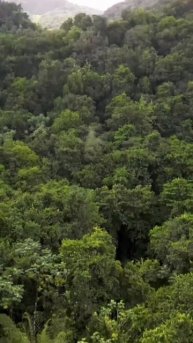И всё это реально🪄✨!! Если приложить к этому усилия и действительно верить в свой успех💪
