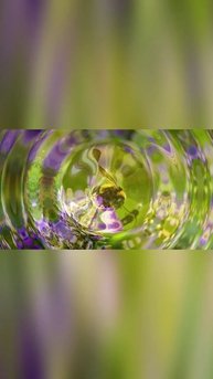 Музыкальные видео поздравления с Медовым Спасом