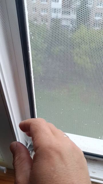 Бюджетная москитная сетка