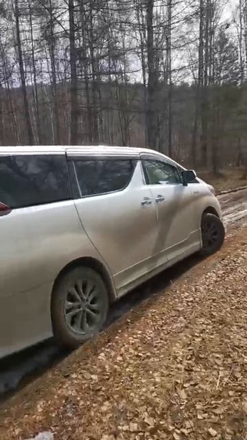 Альфард оффроуд