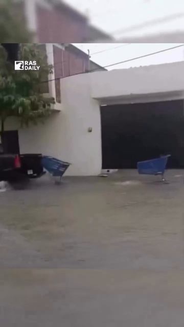 Самое эпичное видео года