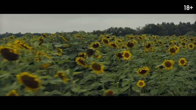 Новый трейлер «Долгая прогулка» по мотивам Стивена Кинга (дубляж, 2025)