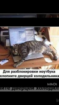 InShot_20250814_041420380.mp4