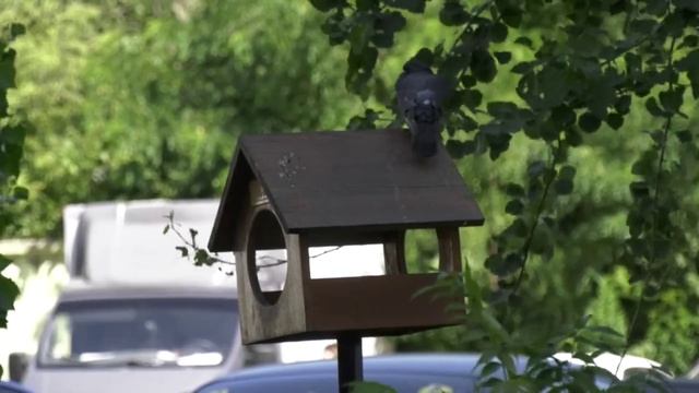 Росреестр поделился важной информацией об оформлении документов