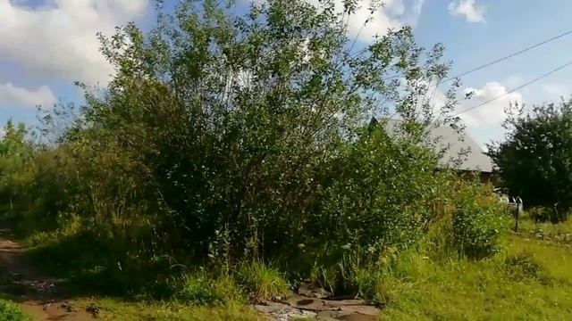 Где же сделать нам раскопки?