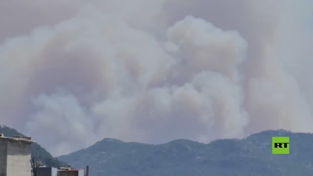 حرائق الساحل السوري تلتهم مساحات حراجية واسعة في اللاذقية