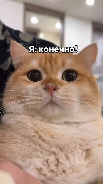 Когда бьюти мастер заболел