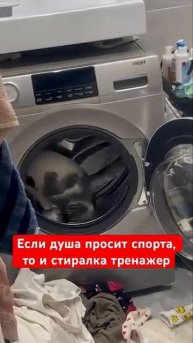 Кот бегает в стиральной машине