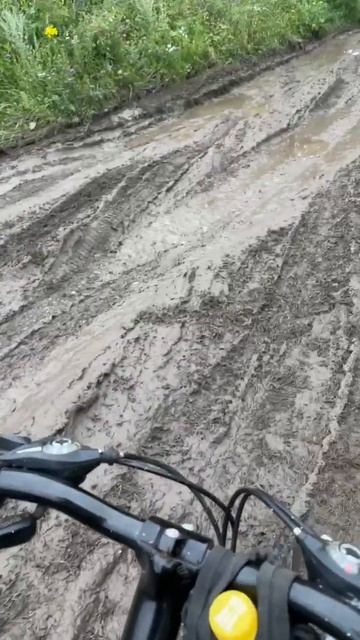 Вот это я попал. Жуть, дорога в лес на коп