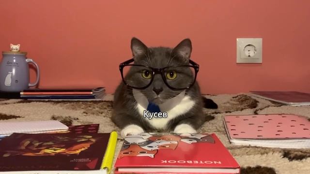 ЕСЛИ_БЫ_КОТИКИ_ХОДИЛИ_В_ШКОЛУ_-_ВСТРЕЧА_В_БУФЕТЕ_НОВЕНЬКАЯ_И_УРОК_НЕМЕЦКОГО