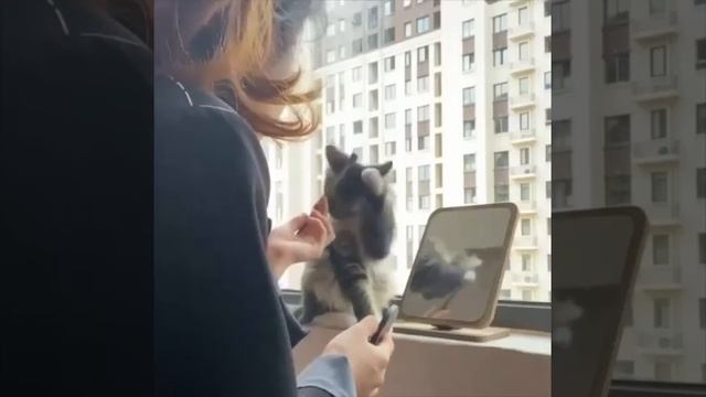 Теперь и меня покрась 😻🐈💖😉🤩