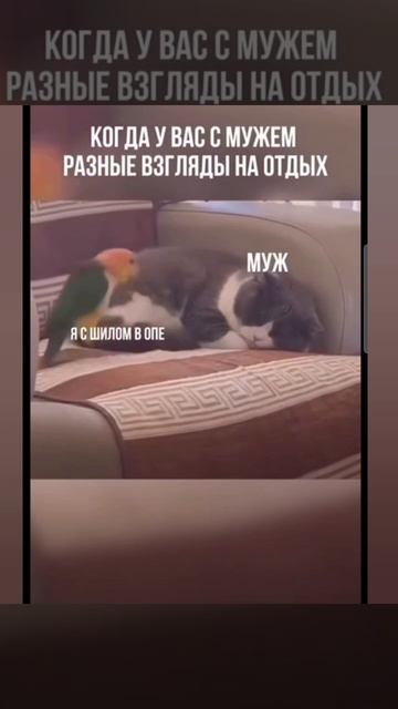 Позитивного дня