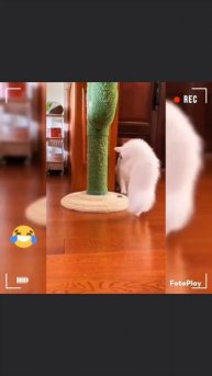 #рек #рекомендации #подписка